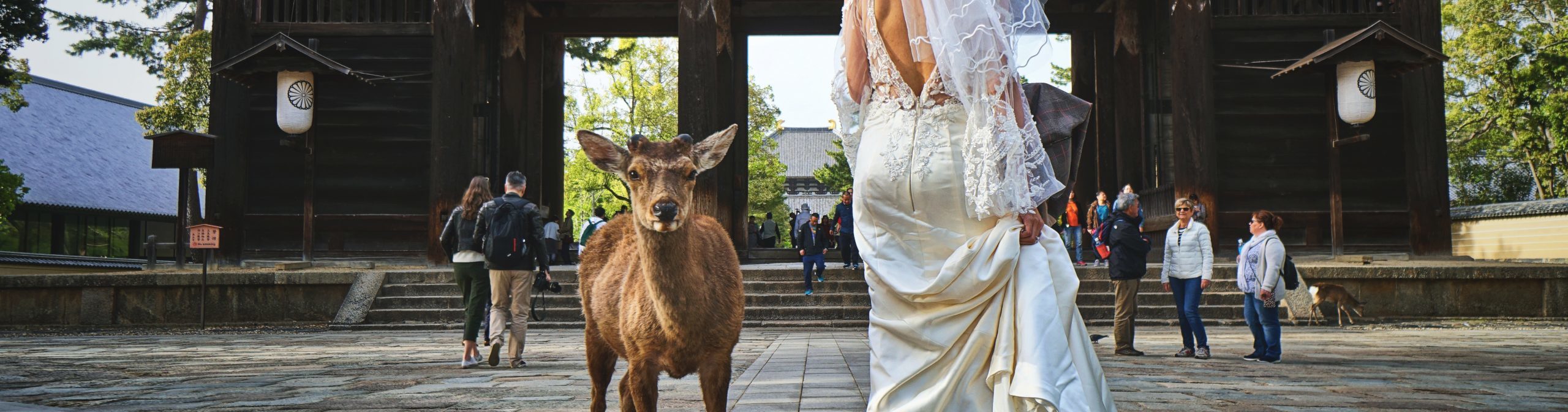 世界中から結婚式を招こう